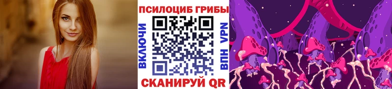 ОМГ ОМГ ТОР  Нальчик  Галлюциногенные грибы Psilocybe  продажа наркотиков 